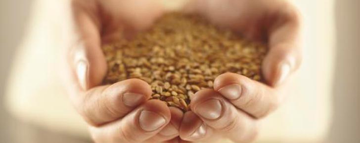 цільні злаки