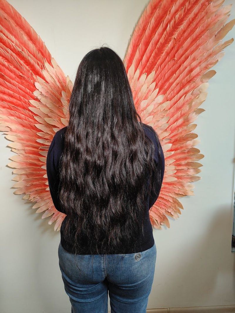 Les Anges